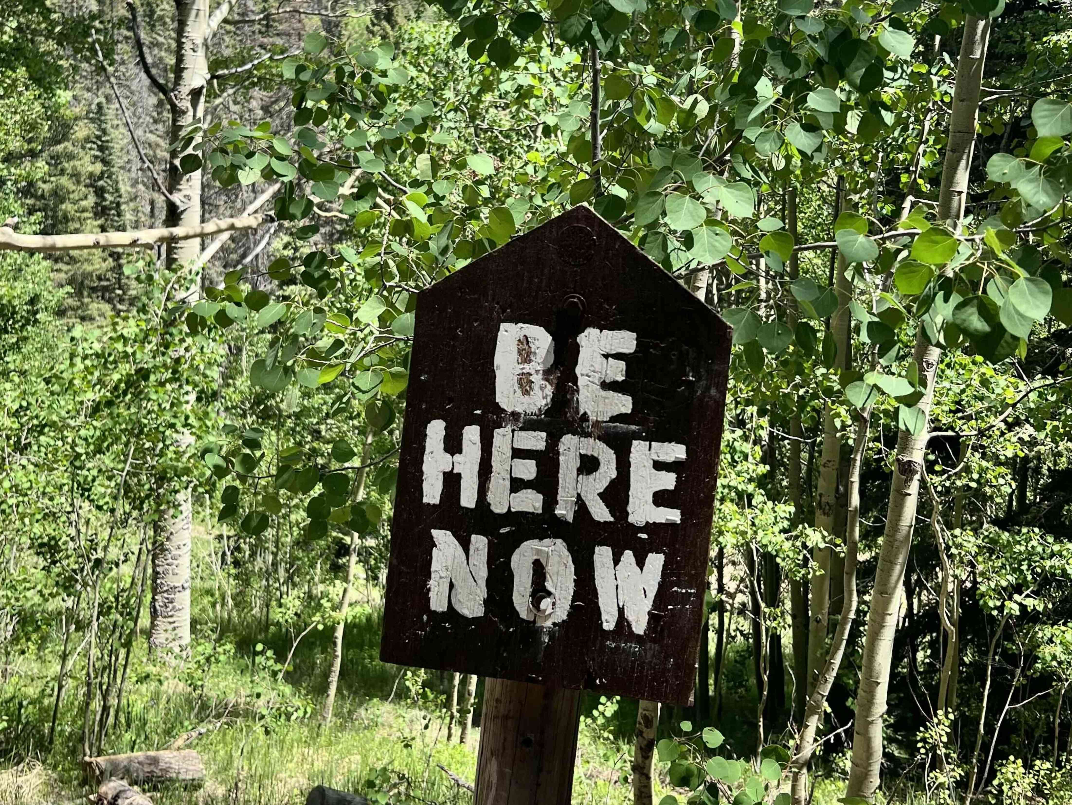 Be Here Now (2024)